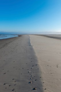 Early mist over the empty beach