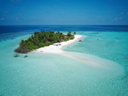 Tourists on uninhabited palm island