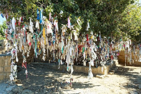 Wish tree