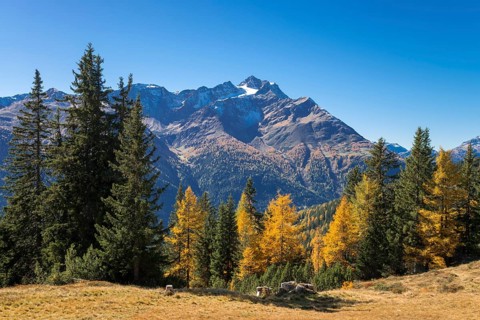 Autumnal mountain landscape