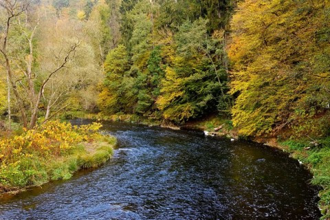 River Ilz