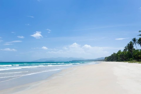 Long sandy beach with palm trees