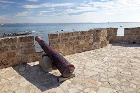 Medieval fort