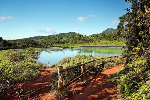Water Reservoir