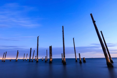 Piles of a decayed pier in the water at dusk