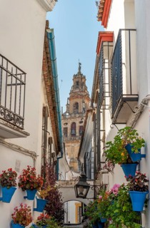 Calle de las Flores