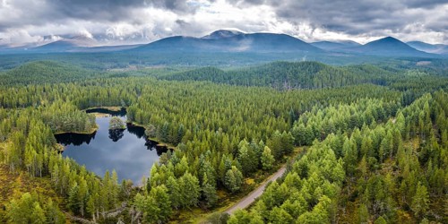 Overview of Loch Morlich