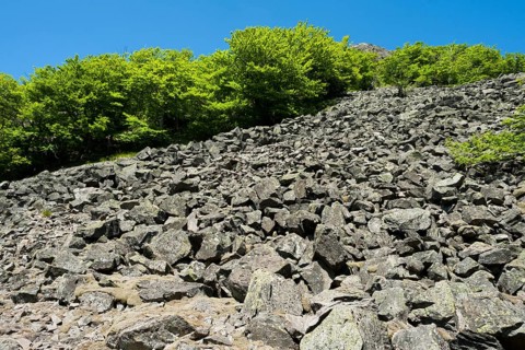 Block heap at Milseburg mountain