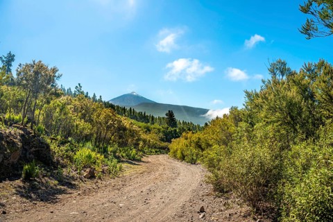 Gravel road