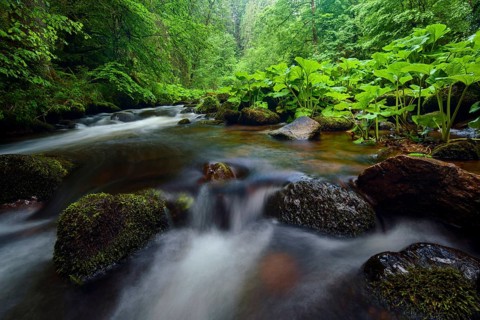 Haslach Gorge