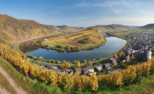 Moselschleife in autumn