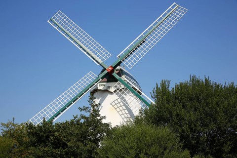 Windmill Betty
