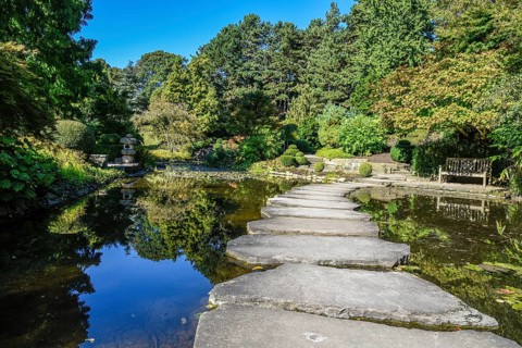 Japanese Garden