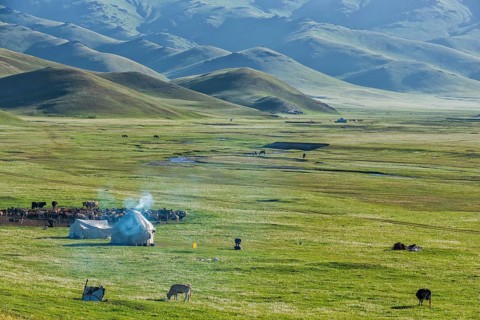 Nomad yurt camp