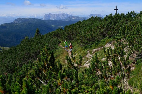 Hikers between pines on the summit ridge of the Durrnbachhorn