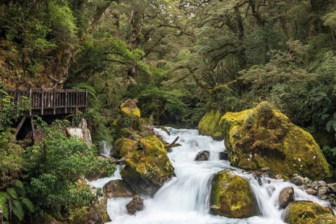 Wooden footbridge at Marian Falls