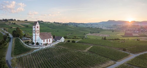 Panorama
