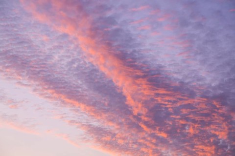 Rosy cirrus clouds