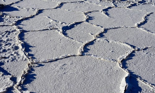 Honeycomb structure on the salt lake