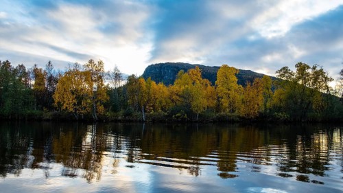 Autumn landscape