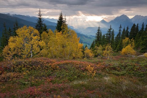 Naunz in autumn