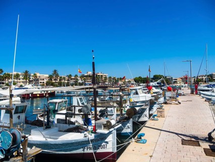 Port with fishing boats