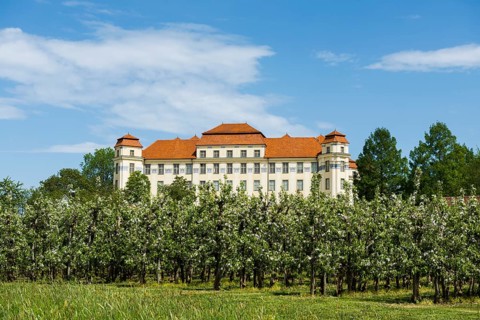 New castle and flowering fruit trees