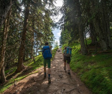 Hikers on trail in the forest to Hochwurzen