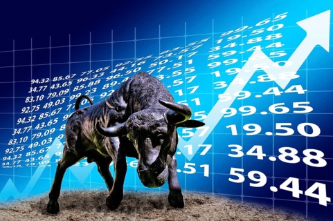Bull in front of rising stock curve
