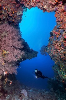 Diver looks at great reef breakthrough