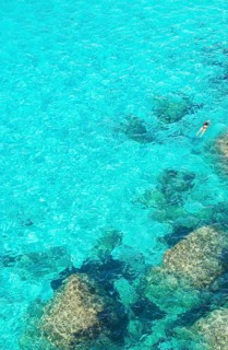 Person swimming in the emerald waters of Cala Mitjana
