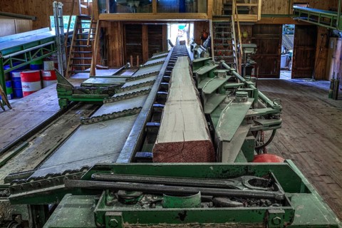 Block train for tree trunks in front of the gate saw