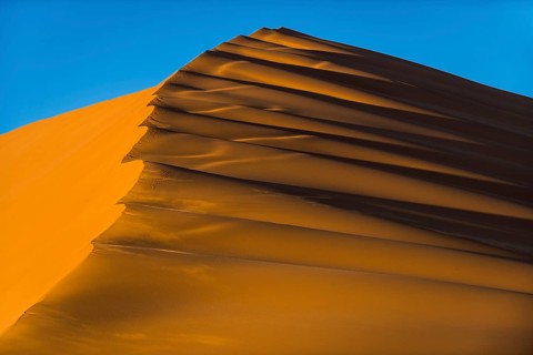 Dune crest