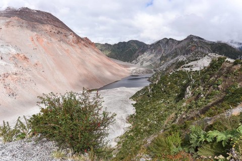 View from the crater of the volcano Chaiten on volcanic eruption destroyed forest