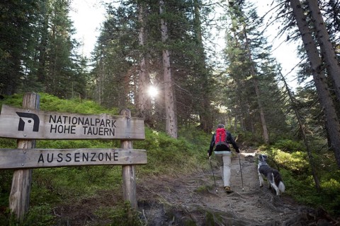 A hiker and his dog walk along a hiking trail at the entrance sign to the Hohe Tauern National Park