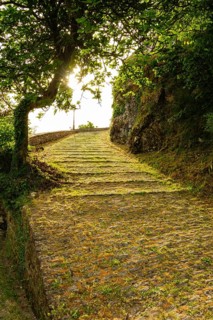 Driveway to the castle