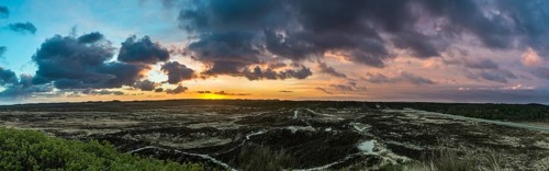 Sunrise over dunes and heathland