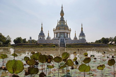 Pond with Lotus (Nelumbo) in front of Maha Rattana Chedi of Wat Thung Setthi