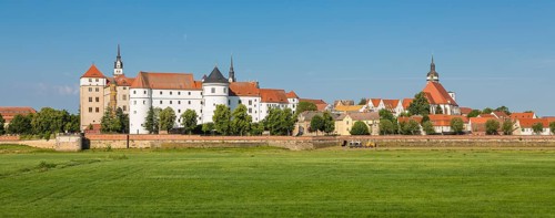 Cityscape with Hartenfels Castle and municipal church St.Marien
