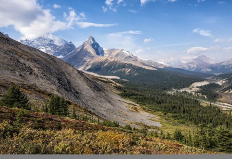 Autumn view of Mount Athabasca and Hilda Peak