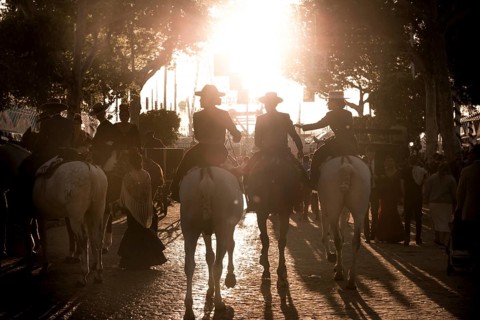 Rider on horses with traditional clothes