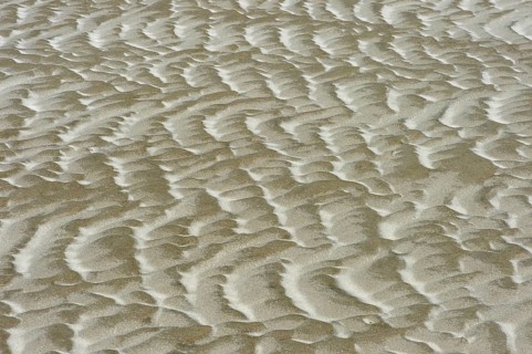 Sand surface formed by wind and tidal current in the mud flats