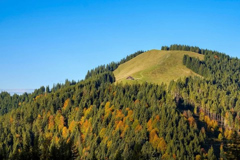 Zwiesel near Wackersberg with Schnaiteralm in autumn