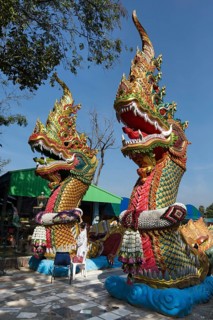 Naga snakes in Wat Pa Thamma Utthayan
