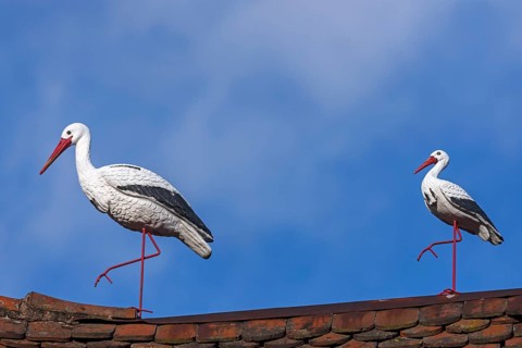 White stork figures on a roof