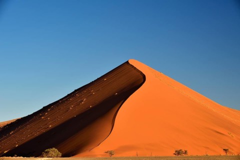 Dune 45