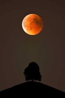 Bloodmoon