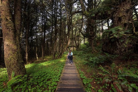 Tourist on her way through rainforest