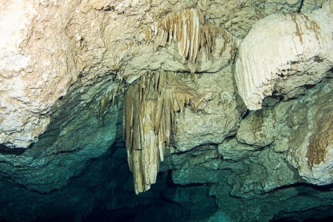 Drooping stalactites in the Cenote Tajma Ha underwater cave