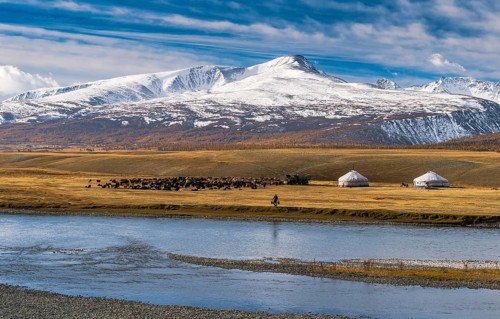 Flock of sheep with yurts and shepherd on the banks of Khoton Lake